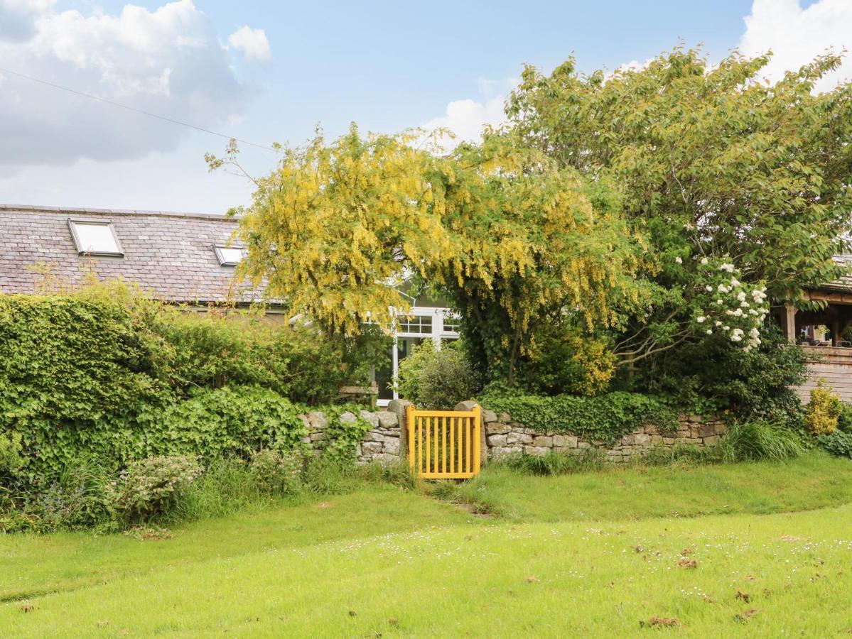 The Cottage, 5 Richley Terrace Newcastle-upon-Tyne Extérieur photo
